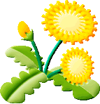 たんぽぽのイラスト